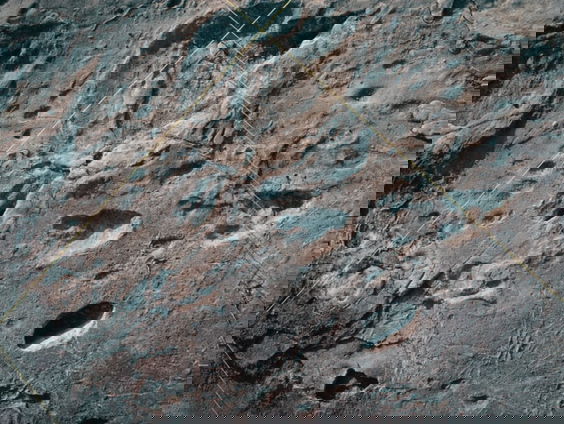 Voetafdrukken van oeroude mensensoort ontdekt