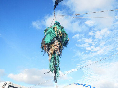 Plasticsoep in Stille Oceaan veel groter dan gedacht