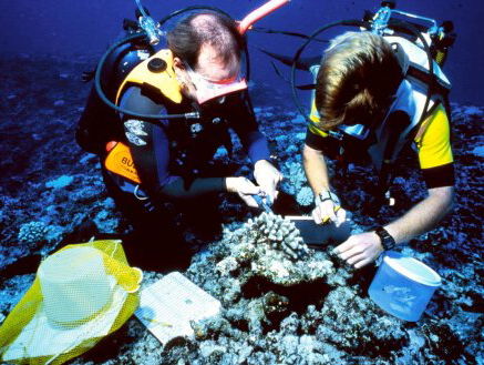 Arjen de Wolff beschermt koraal en natuur op Bonaire