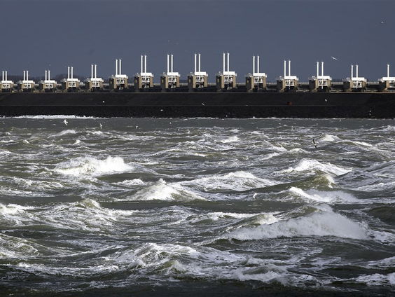 Is de Oosterscheldekering een ramp voor de natuur?