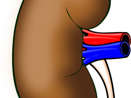 Maakt China zich schuldig aan orgaanroof?