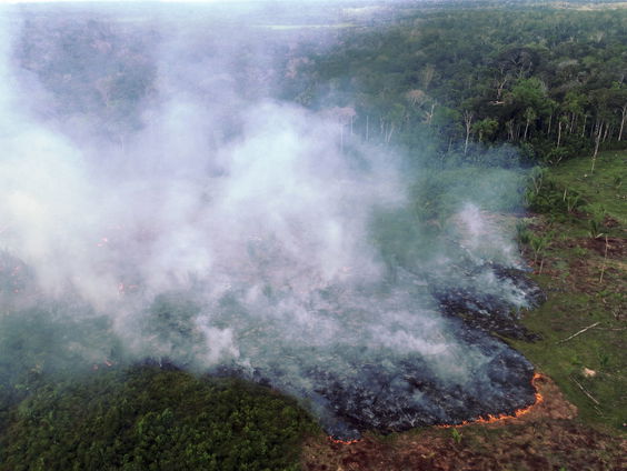 De Amazone staat in brand