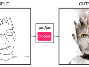 Help de wetenschap: teken Lara