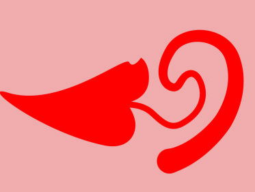 Het Rode Oor - Aflevering 5