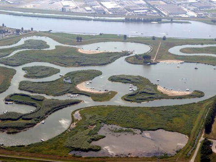 Dieren vluchten voor hoog water