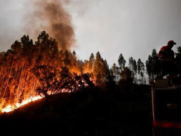 IHN: Grotere kans op bosbranden