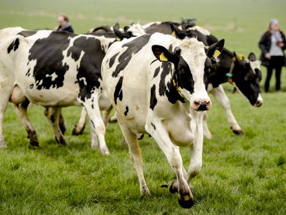 'Honderden producten onterecht als biologisch bestempeld'