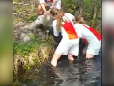 Held: 3 meisjes redden schaap uit sloot