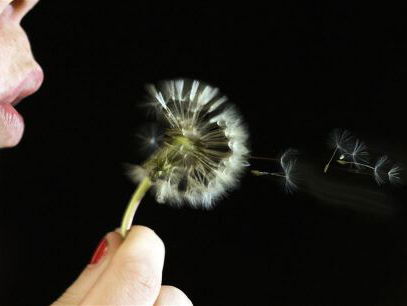 Dokter Felicia met het pollenjournaal