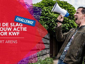 Gezocht: gitaristen voor de actie van Bart, Krystl & de 3JS!