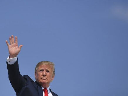 Donald Trump over Megan Rapinoe