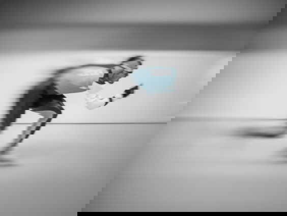 Laatste Olympische schaatsseizoen voor Ireen Wüst en Sven Kramer van start