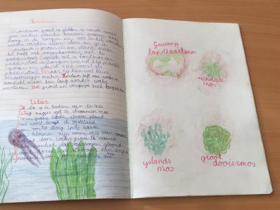 Juf Laura zoekt gestolen kunstwerken van leerlingen groep 5