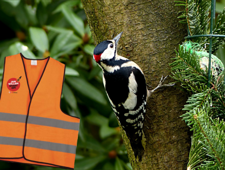 Wat een (s)pech(t) voor Adrienne!