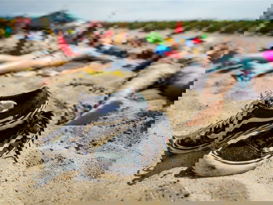 Het Oor: ode aan de laatste vakantiedagen