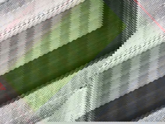 Dit is waarom Vera Pauw de Golden Earring uit De Oranjeselectie haalt