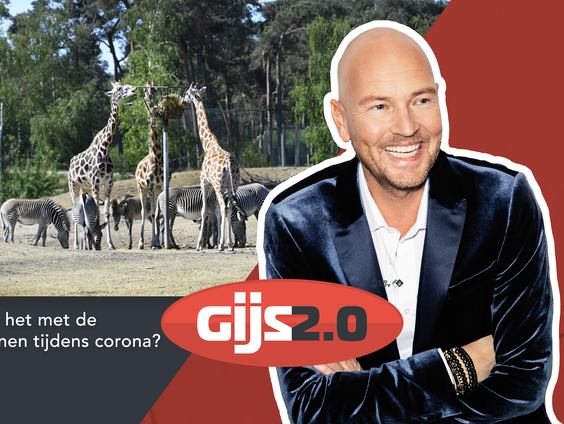 Dierverzorger Martin van Hees over coronasteun voor dierentuinen