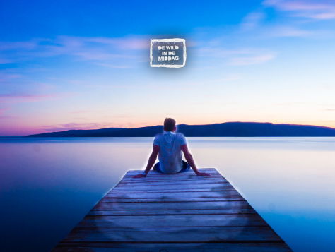 We moeten nog even wachten - Liam Payne, Rita Ora - For You