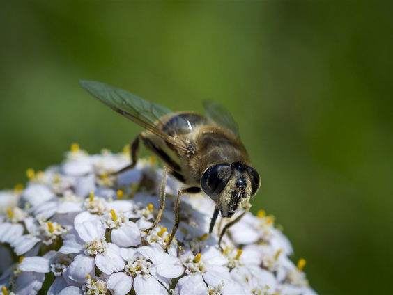 Stefan en Emmely bevruchten een hele flat in Utrecht-Overvecht