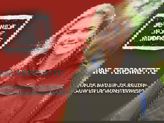 Boswachter Hanne Tersmette: 'Pas op voor de monsterwesp en de berenklauw!'