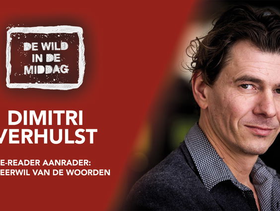 Dimitri Verhulst schreef ‘In weerwil van de woorden’