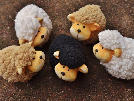 Schaapherders hebben geldproblemen