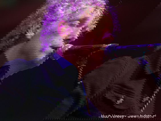 Spinvis geeft concert vanuit de Domtoren in Utrecht