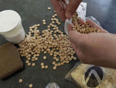 Mick van Wely over Jihadpillen