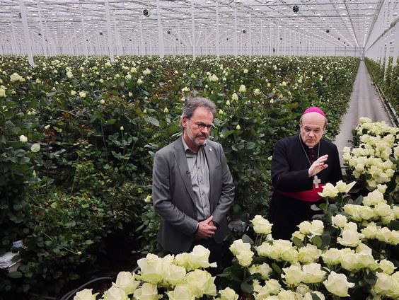 Paul Deckers stuurt dit jaar speciale roos naar het Vaticaan