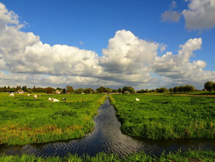 Wat een pech! Rene's zoon reed vlak voor zijn vakantie in de sloot