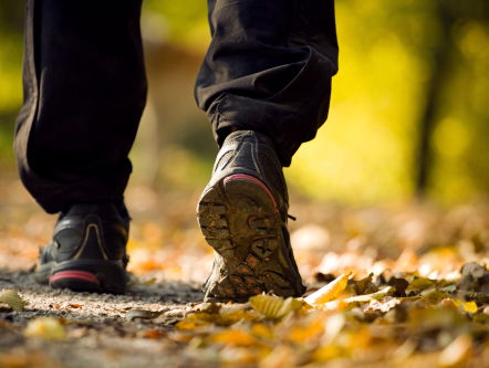 Rogiers Pelgrimstocht Deel 3