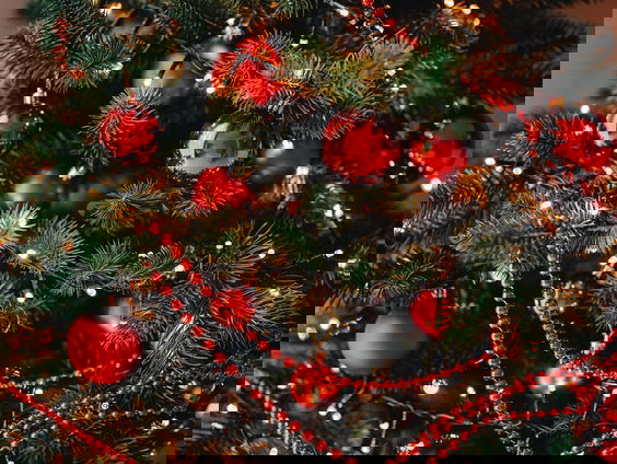 Jeroen en Jesse zijn alvast in de kerststemming