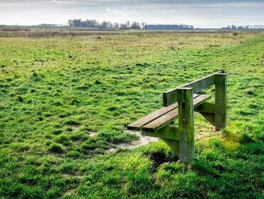 Loes ergerde zich aan de vieze bankjes in haar buurt en plaatste daarom overal schoonmaakborstels