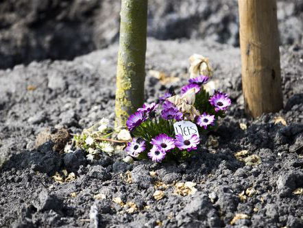 Onthulling monument slachtoffers MH17