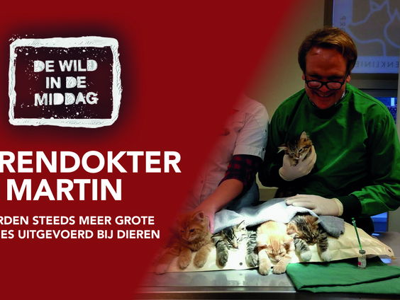 Dierenartsen hebben het druk, steeds meer vraag naar speciale operaties. Dierendokter Martin legt uit