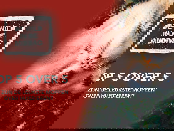 Top 5 over 5: Wat zijn de leukste moppen over huisdieren?