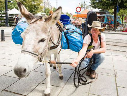 Tjerk loopt met z'n ezel van Parijs naar huis