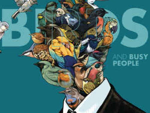 Is het een vogel of een druk mens quiz met Rogier Pelgrim