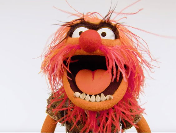 Het Gouden Trommelvlies: Animal (The Muppets)