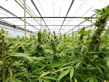 Christunie en D66 lijnrecht tegenover elkaar over drugsproblematiek