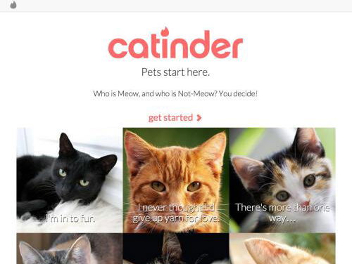 Catinder