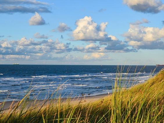 Hoe er bij toeval een vulkaan in de Noordzee werd ontdekt