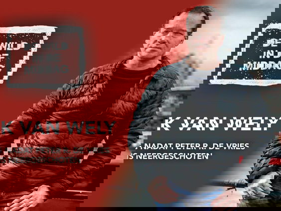 Mick van Wely: 'De Vries vond beveiliging geen optie'