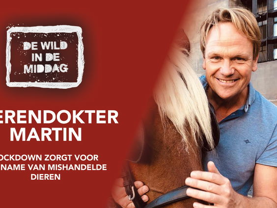 Dierendokter Martin: 'De lockdown zorgt voor een toename in verwaarloosde en mishandelde dieren'