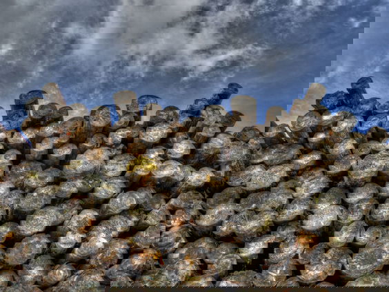 Fenna Swart over nieuws einde ontbossing: "Geen woord over miljarden voor boskap biomassaverbranding"