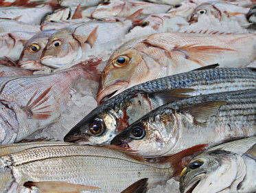 Op zich niks mis met kweekvis qua duurzaamheid, maar eet geen pangasius voor de smaak