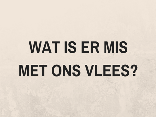Misstanden in Brazilië en België - heeft McDonalds de oplossing?