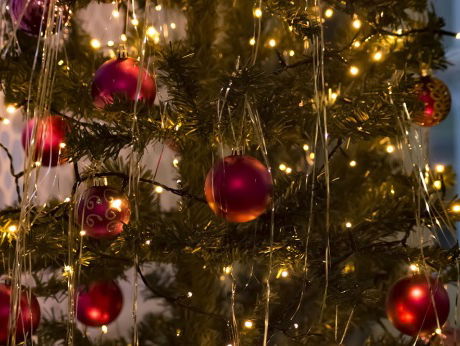 Driekoningen, hoe zat het ook al weer? Cultuurtheoloog Frank Bosman legt het uit.