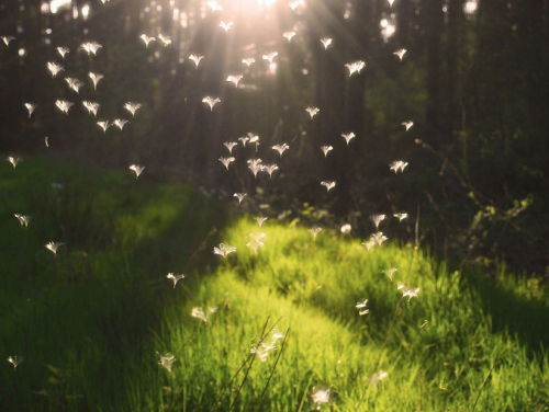 Lekker weg in de Voorjaarsvakantie