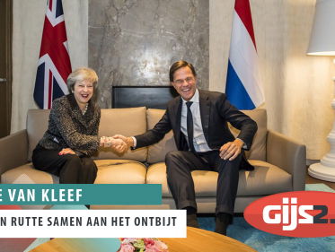 Brexit stemming Lagerhuis Suse van kleeff